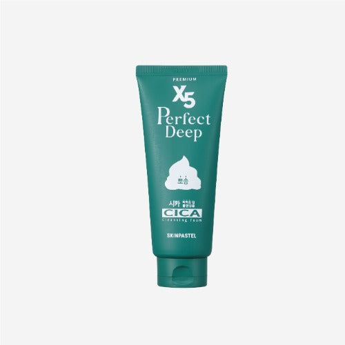 SKINPASTEL Premium X5 CICA Perfect Deep Cleansing foam 프리미엄 엑스5 시카 퍼펙트 딥 클렌징 폼 160g
